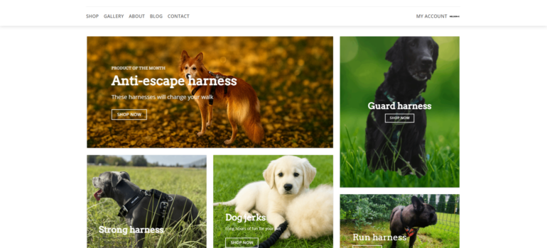 Sklep internetowy NELSON-X.eu